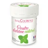 mode Arôme Naturel En Poudre Menthe 15 G Scrapcooking 10