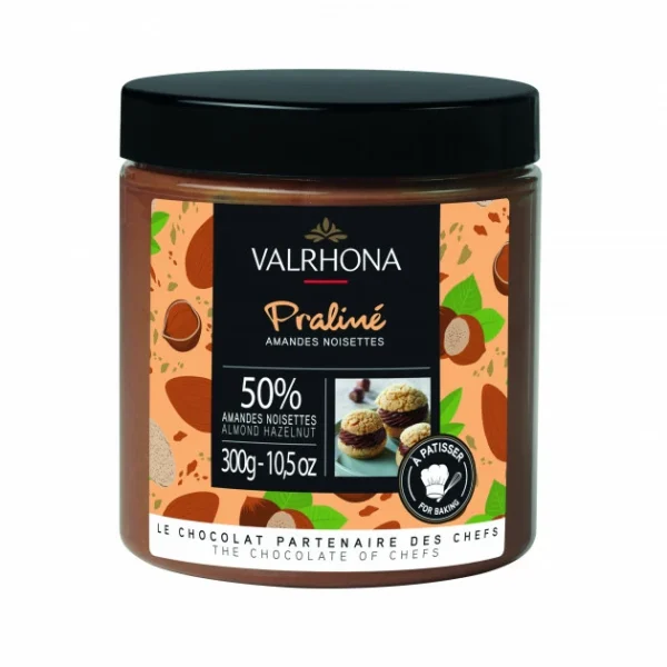 Praliné Amandes Noisettes 50% 300g Valrhona Service Clients Dédié 1