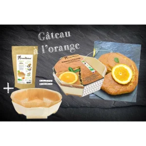 des prix incroyables Préparation Bio Gâteau à L’Orange + Moule En Bois Mirontaine 8