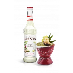 Sirop Gingembre 70 Cl Monin Dernières Nouveautés 6