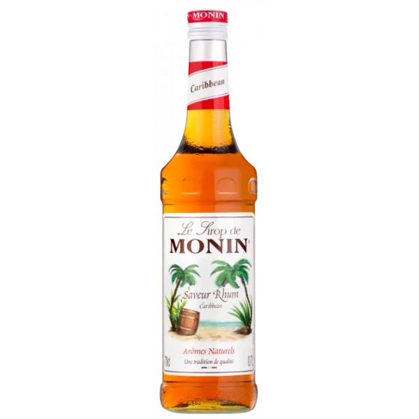 Sirop Rhum 70 Cl Monin à prix très bas 1